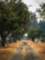 British Columbia Travel Guide