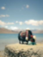 Beijing to Lhasa Train Journey