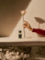 Luce di Rosa Acqua di Parma