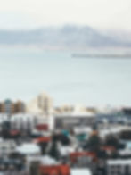 Remote Working Reykjavik