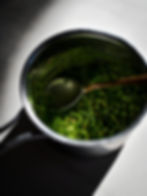 The Water House Project